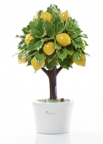 Gli Alberelli - Alberello Profumatore con limoni misura grandissima