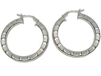18K White Gold, Circle Earrings